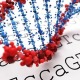 جزوه مروری بر ژنتیک مولکولی و مهندسی